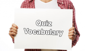 Contoh Soal Vocabulary