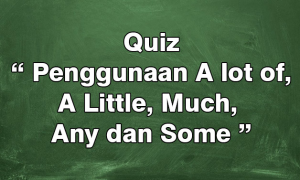 Contoh Soal Cara Penggunaan A lot of, A Little, Much, Any dan Some