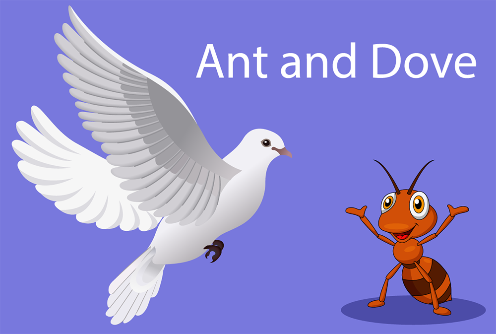 and and dove